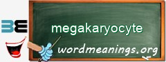 WordMeaning blackboard for megakaryocyte